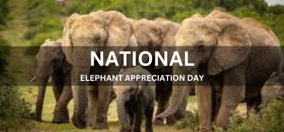 NATIONAL ELEPHANT APPRECIATION DAY  [राष्ट्रीय हाथी प्रशंसा दिवस]